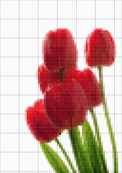 Tulip example, stage: Grid, 48-colour limit